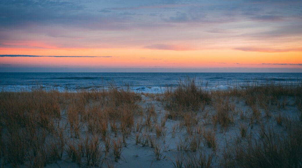 Sand dunes and the Atlantic Ocean at sunset, at Smith Point, Fire Island, New York