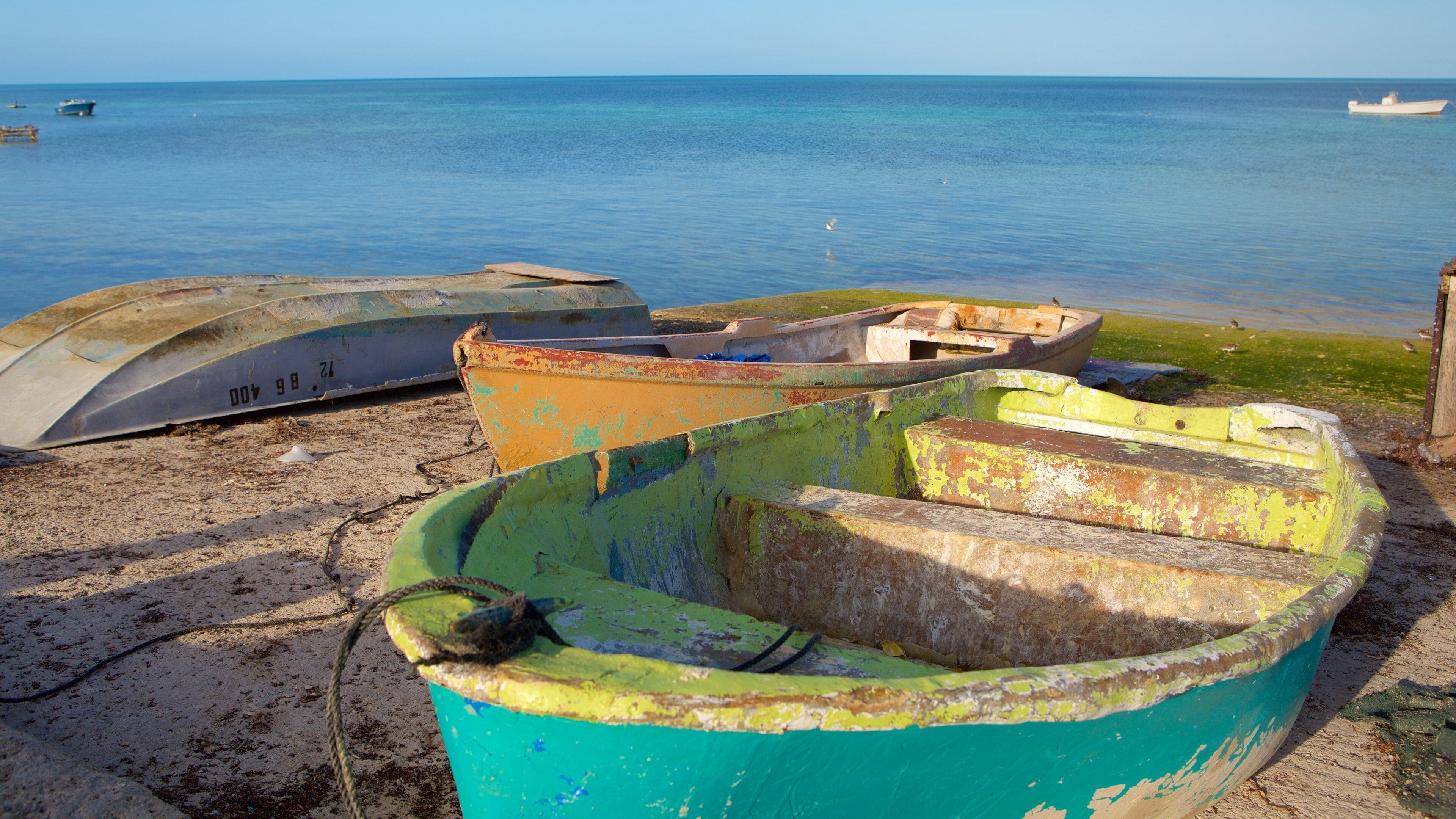 West End which includes boating and general coastal views