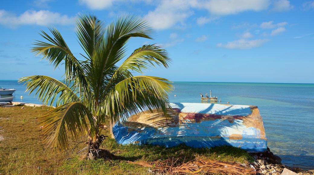 西區 其中包括 一般的海岸景觀 和 熱帶景觀