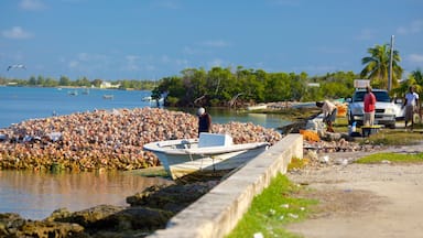 West End montrant vues littorales aussi bien que petit groupe de personnes