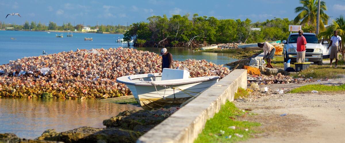 A boat docked near a shore with a large pile of shells and debris.