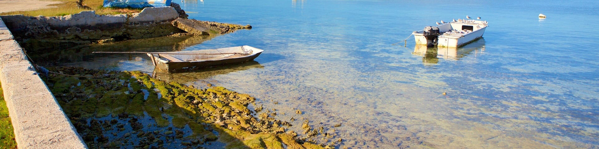 West End featuring general coastal views and boating