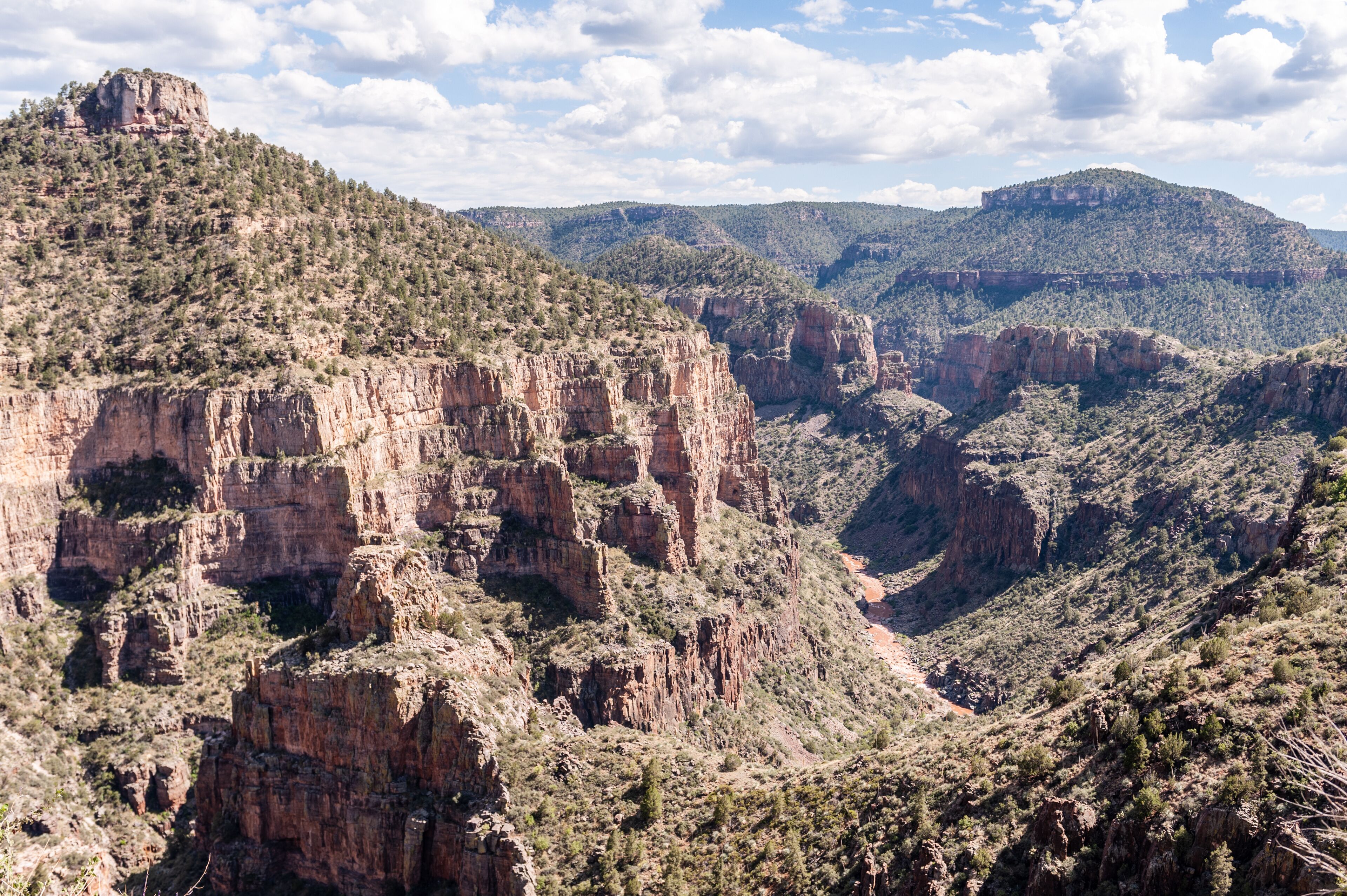 A canyon with rugged cliffs and sparse vegetation.