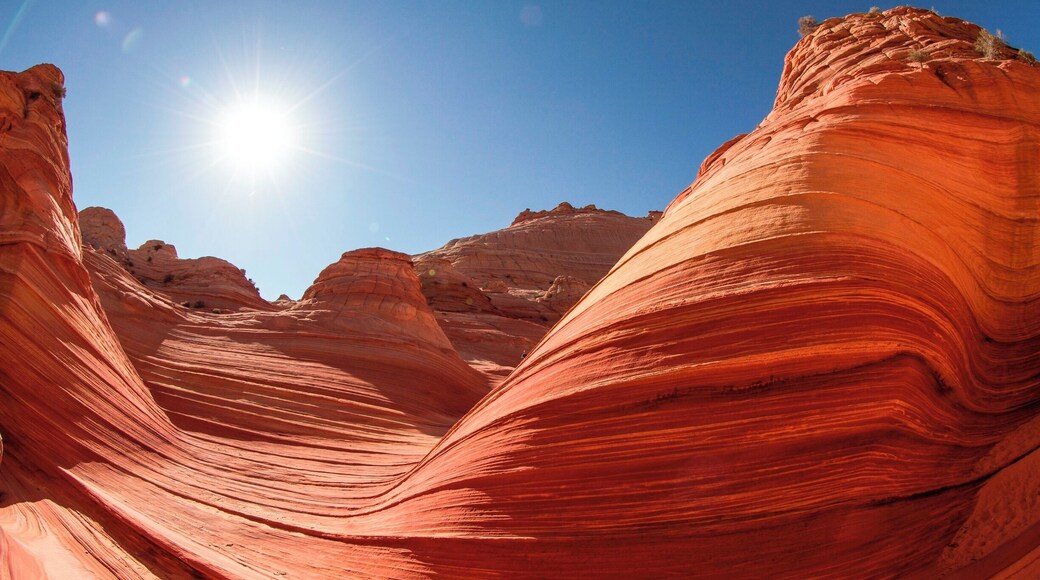 #hiking.. i love hiking being out doors following a trail or just making my own fresh air and the out doors is amazing. i hike every chance i can close to home or travel to find new locations, I'm from akron Ohio but i love to travel this photo was from...the wave a hot hard hike threw the desert but so worth it if your are lucky enough to get the day permit ...
