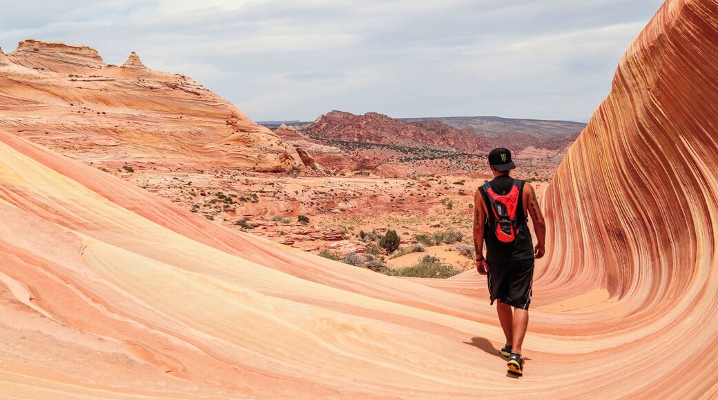 #hiking.. i love hiking being out doors following a trail or just making my own fresh air and the out doors is amazing. i hike every chance i can close to home or travel to find new locations, I'm from akron Ohio but i love to travel this photo was from...the wave a hot hard hike threw the desert but so worth it if your are lucky enough to get the day permit ...