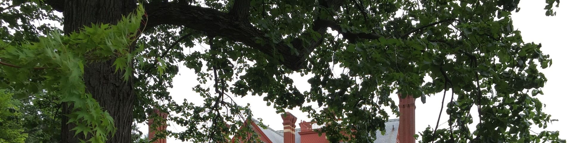 Glenmont is the mansion where Thomas and Mina Edison lived with their children.