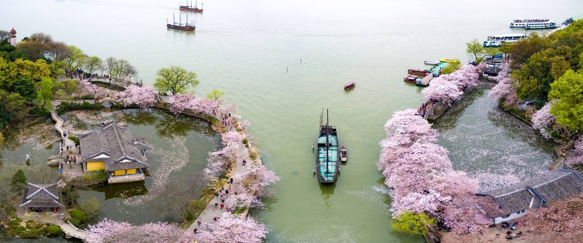A riverside area with traditional buildings, cherry blossoms, and boats.