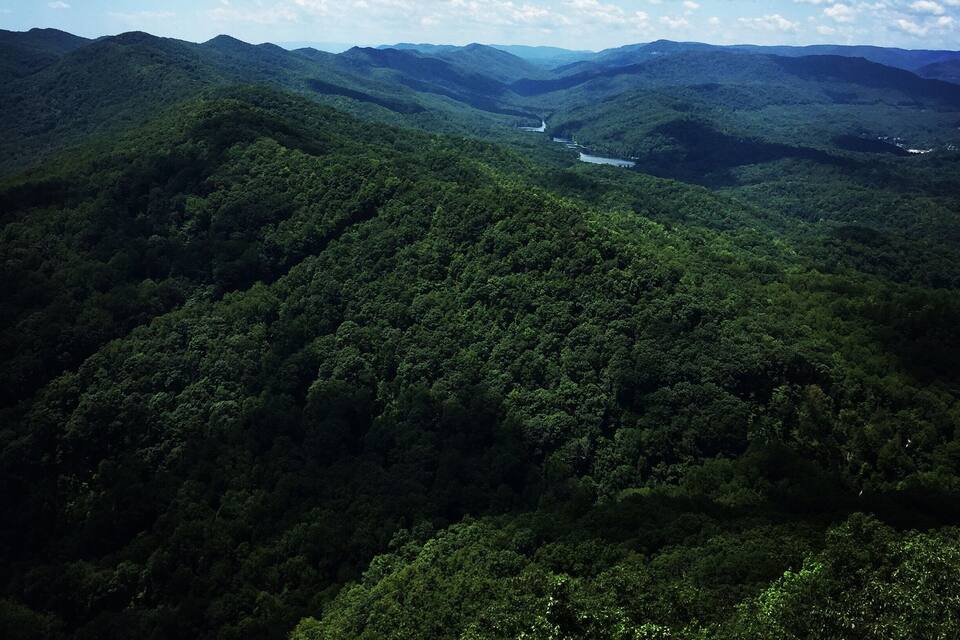 A mountainous landscape with dense green forests and a river winding through the valleys.