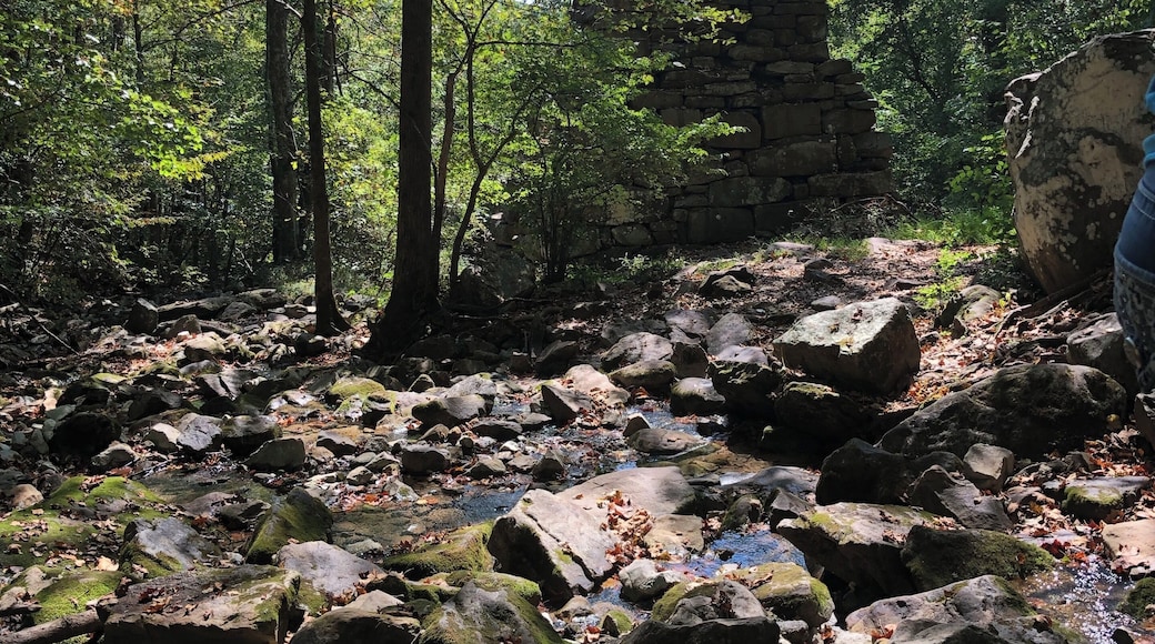 #Adventure #CumberlandGap #Creek #Waterfall #IronFurnace #Iron #Furnace #Rocks #Nature