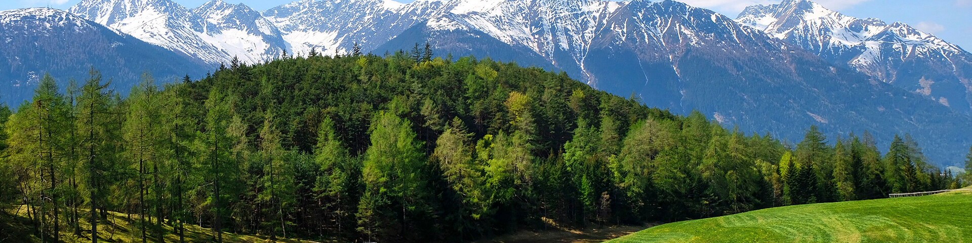 A mountain range with snow-capped peaks, a forested hill, and a meadow with wildflowers.