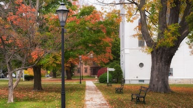 Manchester Vermont Historic District Autumn