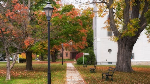 Manchester Vermont Historic District Autumn