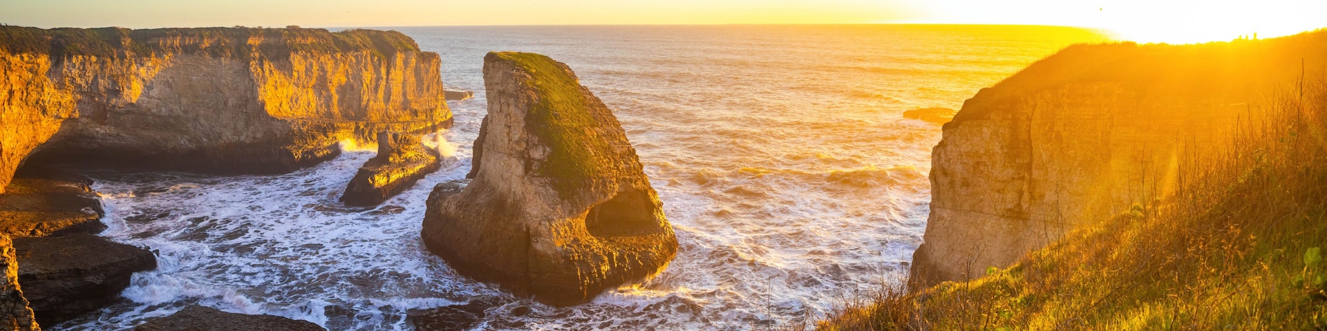 Shark Fin Cove Coast at Golden Sunset California