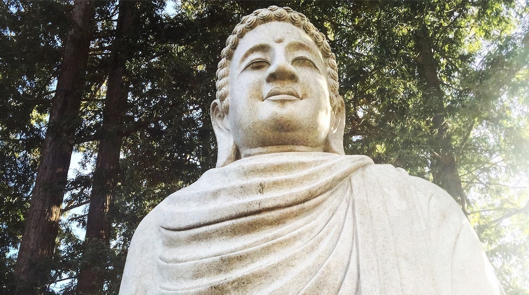 Mt. Madonna Buddhist Temple