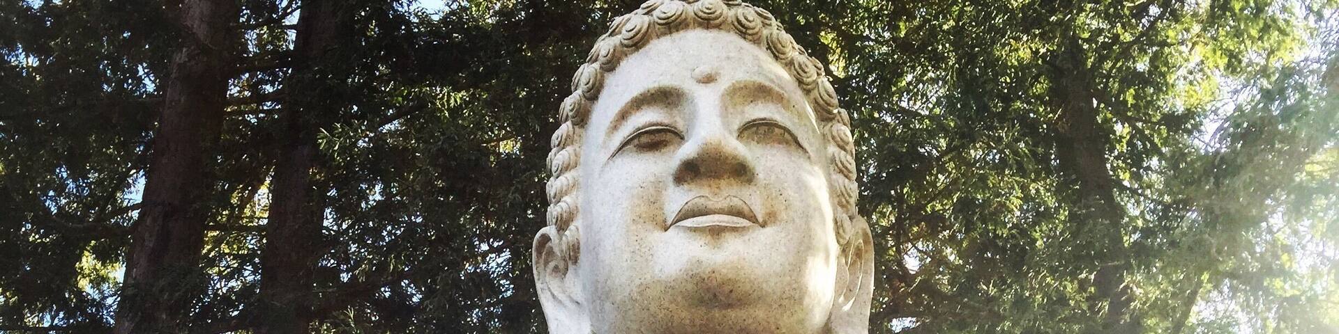 A large stone Buddha statue in a forested area.
