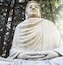 Un'imponente statua di Buddha in pietra immersa nel verde.