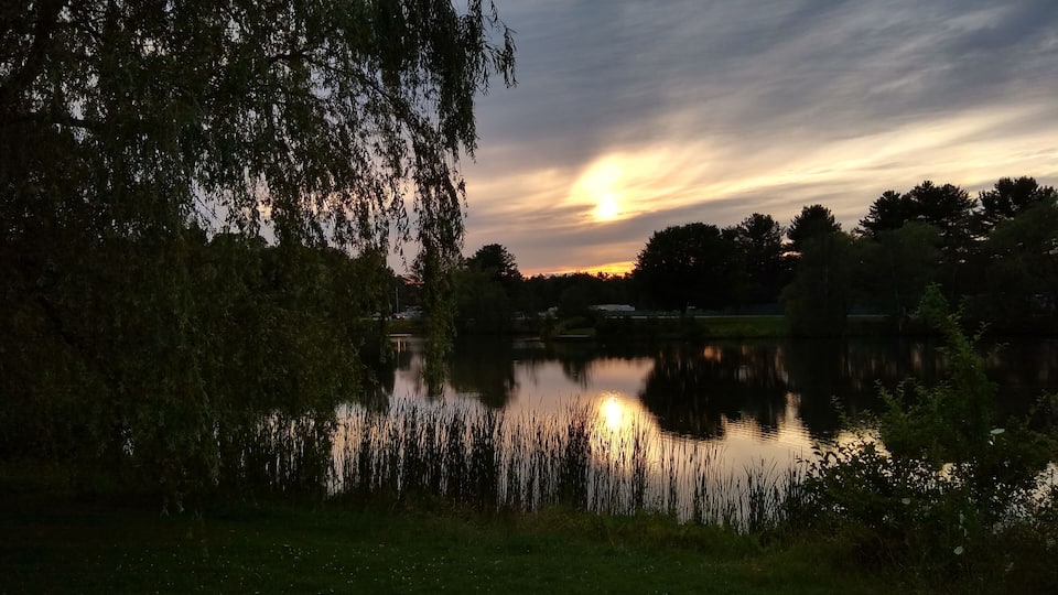 A sunset over a calm lake with trees and a grassy foreground.