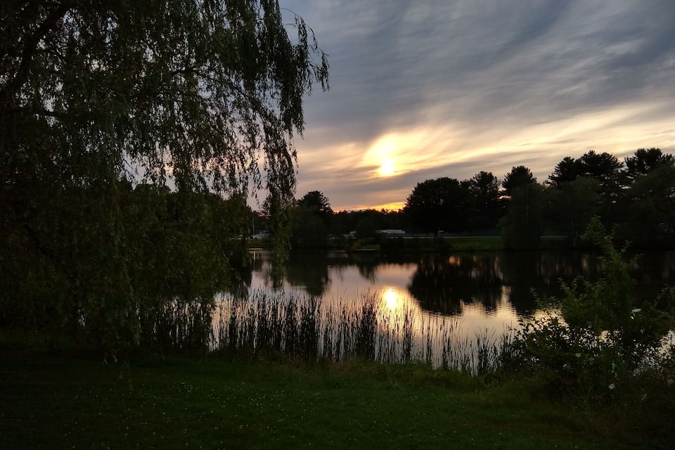 A sunset over a calm lake with trees and a grassy foreground.