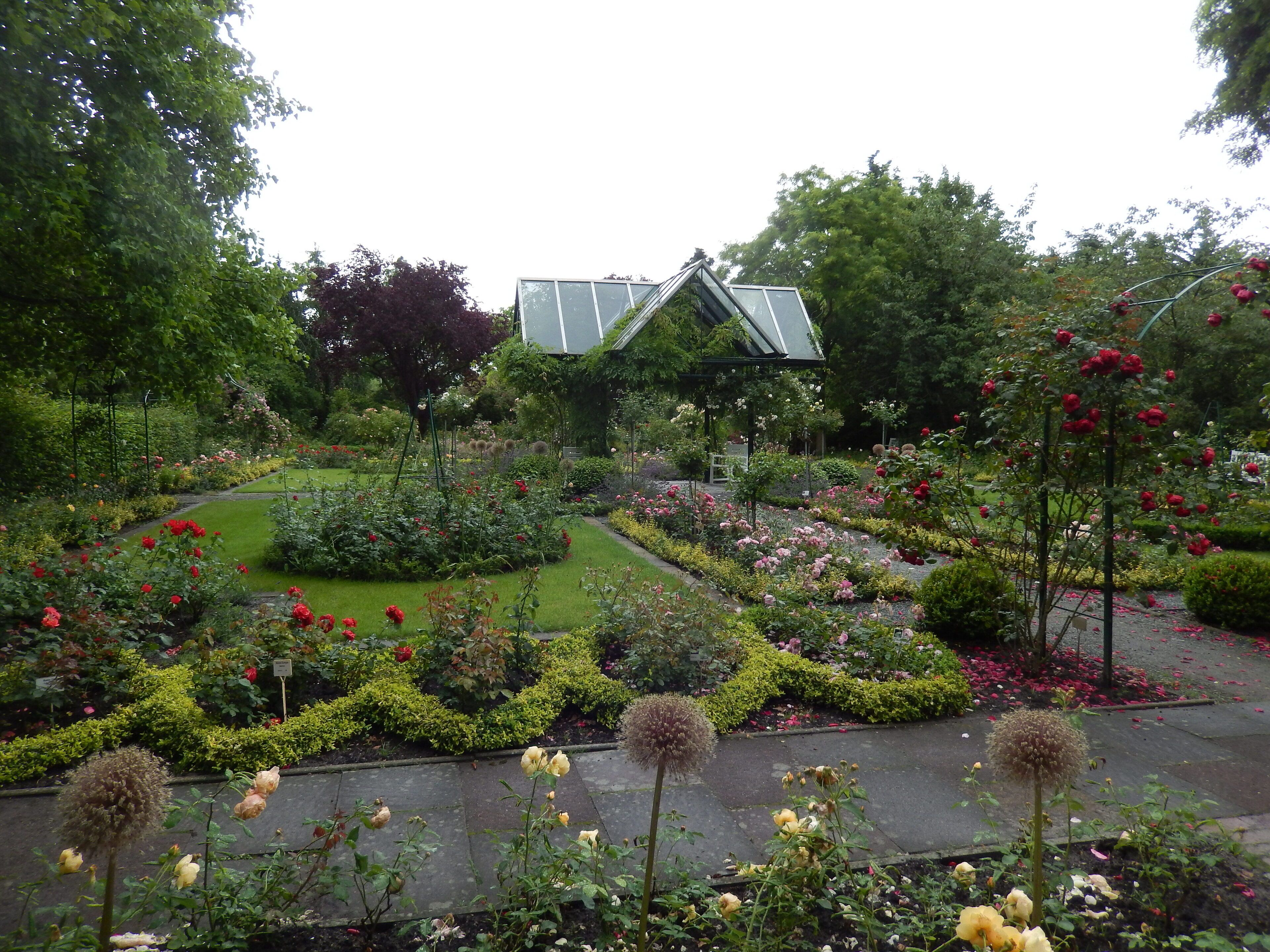 Rosarium in Wilhelmshaven