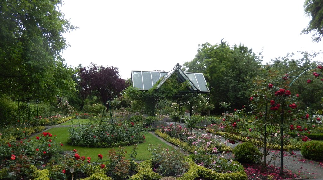 Rosarium in Wilhelmshaven