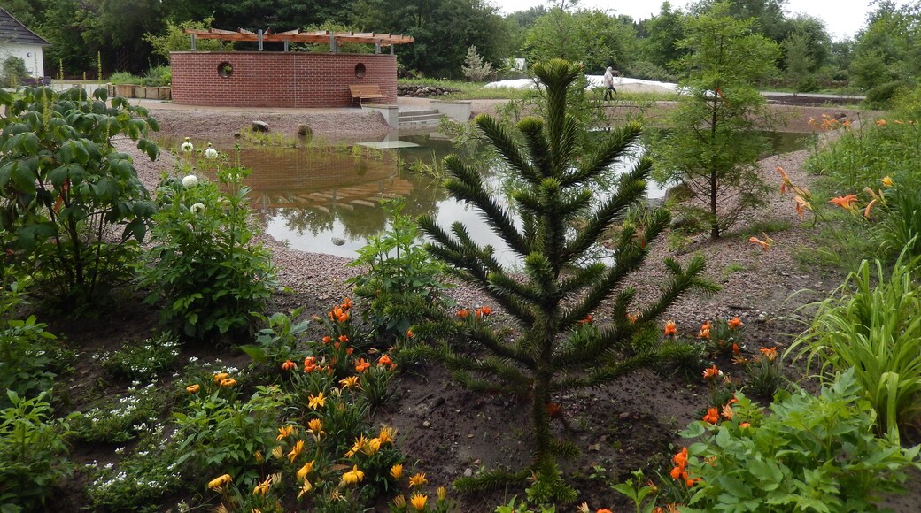 Botanischer Garten Wilhelmshaven beim Rosarium