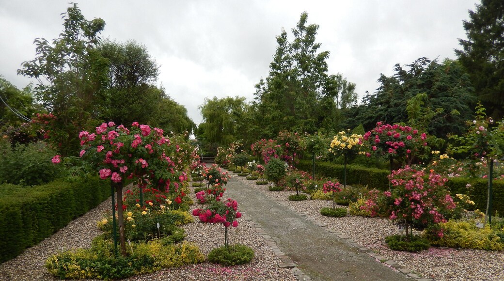 Rosarium in Wilhelmshaven