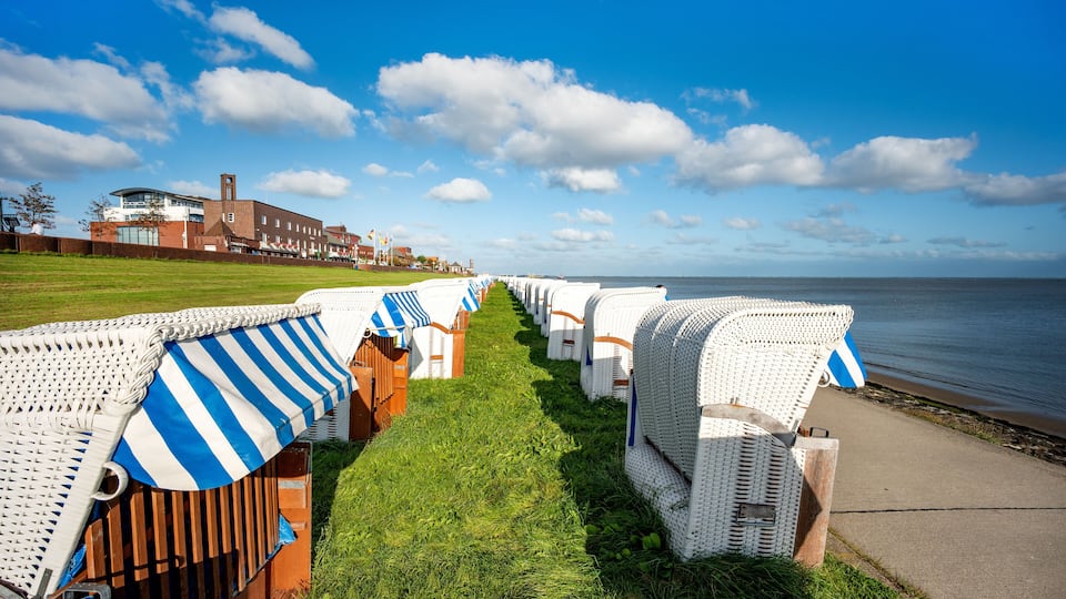 A row of beach chairs with blue and white striped awnings along a grassy path leading to the beach.