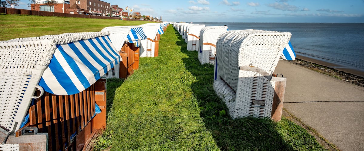 A row of beach chairs with blue and white striped awnings along a grassy path leading to the beach.