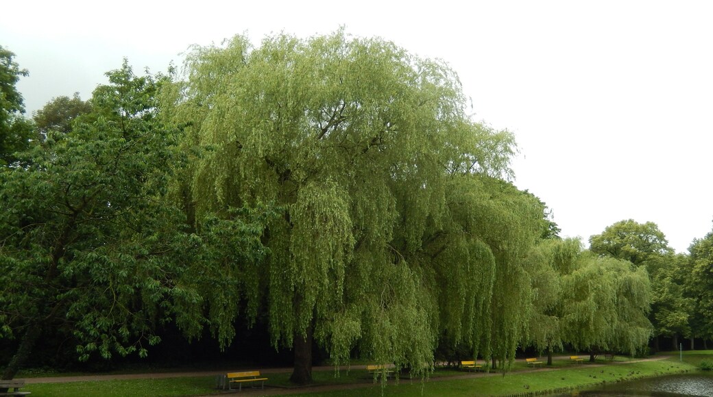 Stadtpark Wilhelmshaven
