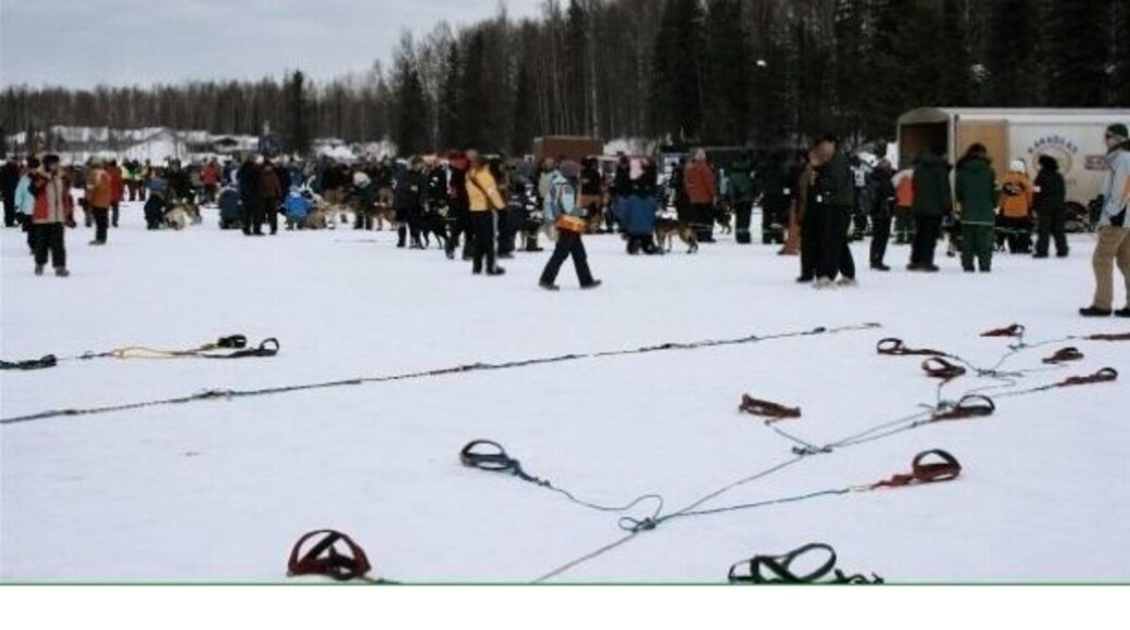 Official Start of the Iditarod. Come check it out the first Saturday in March every year. The ceremonial start is in Anchorage and the streets are packed!! You can bid to be in the basket of your favorite musher, be a handler, or watch from the sidelines. Which ever you choose it's an exciting time in Anchorage. #Iditarod #Alaska #DogMushing