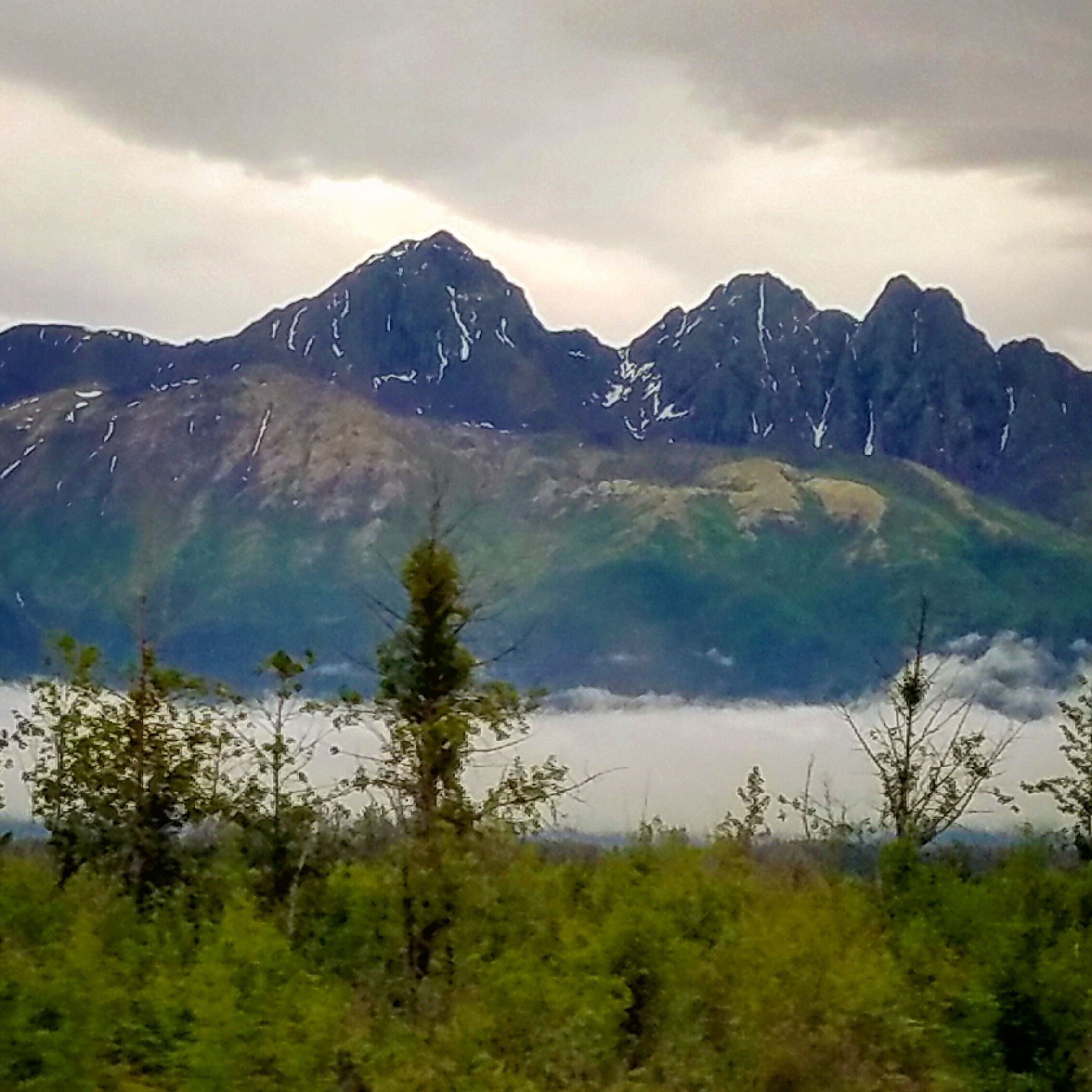 En route to Denali National Park aboard the Alaska Railroad.