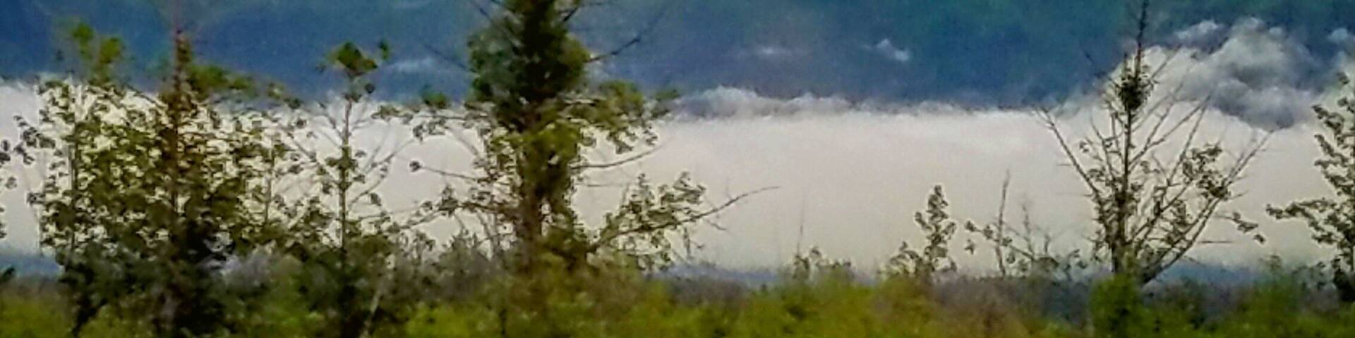 En route to Denali National Park aboard the Alaska Railroad.