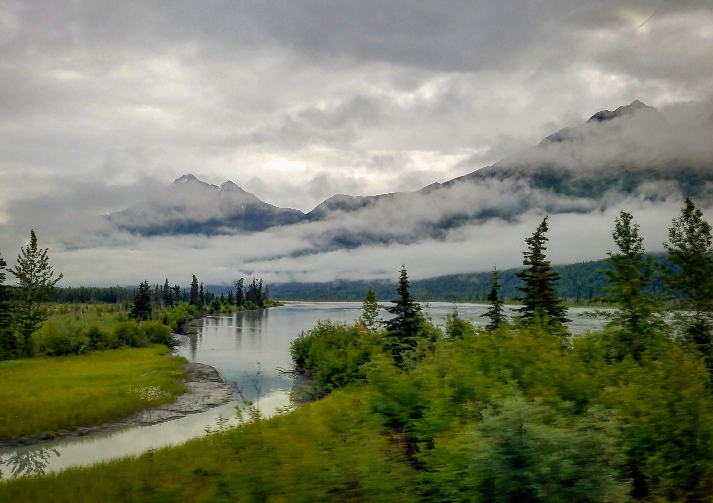 En route to Denali National Park aboard the Alaska Railroad.