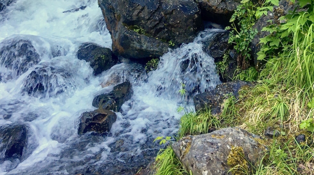 One of Palmer, Alaska's best kept secrets, this waterfall is visible from the parking area... if you can find that. Driving along the Old Glenn Highway, you will turn onto the Knik River Road, next to the Knik River Bridge. Maybe a mile down the road, look for a handmade sign that says Pioneer Falls. It can be tricky to spot! The gravel parking area is the very next right. You can see the waterfall from there, and it's only a short walk in to get close up. Just watch out for the cow parsnip. The toxins in the plant can leave bare skin with awful blisters!
