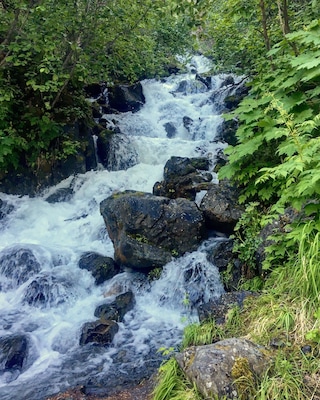 One of Palmer, Alaska's best kept secrets, this waterfall is visible from the parking area... if you can find that.  Driving along the Old Glenn Highway, you will turn onto the Knik River Road, next to the Knik River Bridge.  Maybe a mile down the road, look for a handmade sign that says Pioneer Falls. It can be tricky to spot!  The gravel parking area is the very next right.  You can see the waterfall from there, and it's only a short walk in to get close up.  Just watch out for the cow parsnip. The toxins in the plant can leave bare skin with awful blisters!