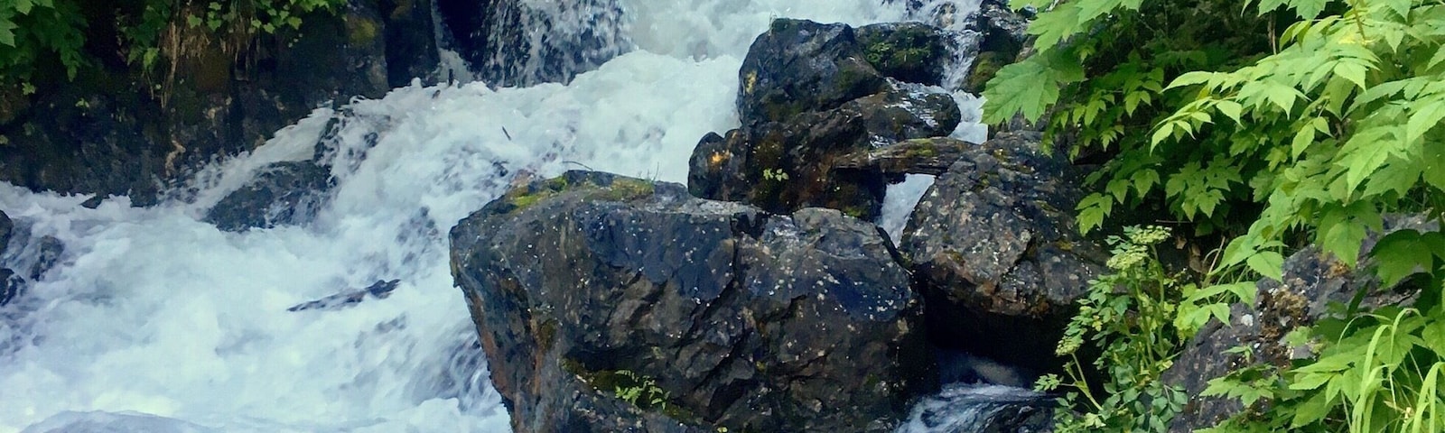 One of Palmer, Alaska's best kept secrets, this waterfall is visible from the parking area... if you can find that. Driving along the Old Glenn Highway, you will turn onto the Knik River Road, next to the Knik River Bridge. Maybe a mile down the road, look for a handmade sign that says Pioneer Falls. It can be tricky to spot! The gravel parking area is the very next right. You can see the waterfall from there, and it's only a short walk in to get close up. Just watch out for the cow parsnip. The toxins in the plant can leave bare skin with awful blisters!