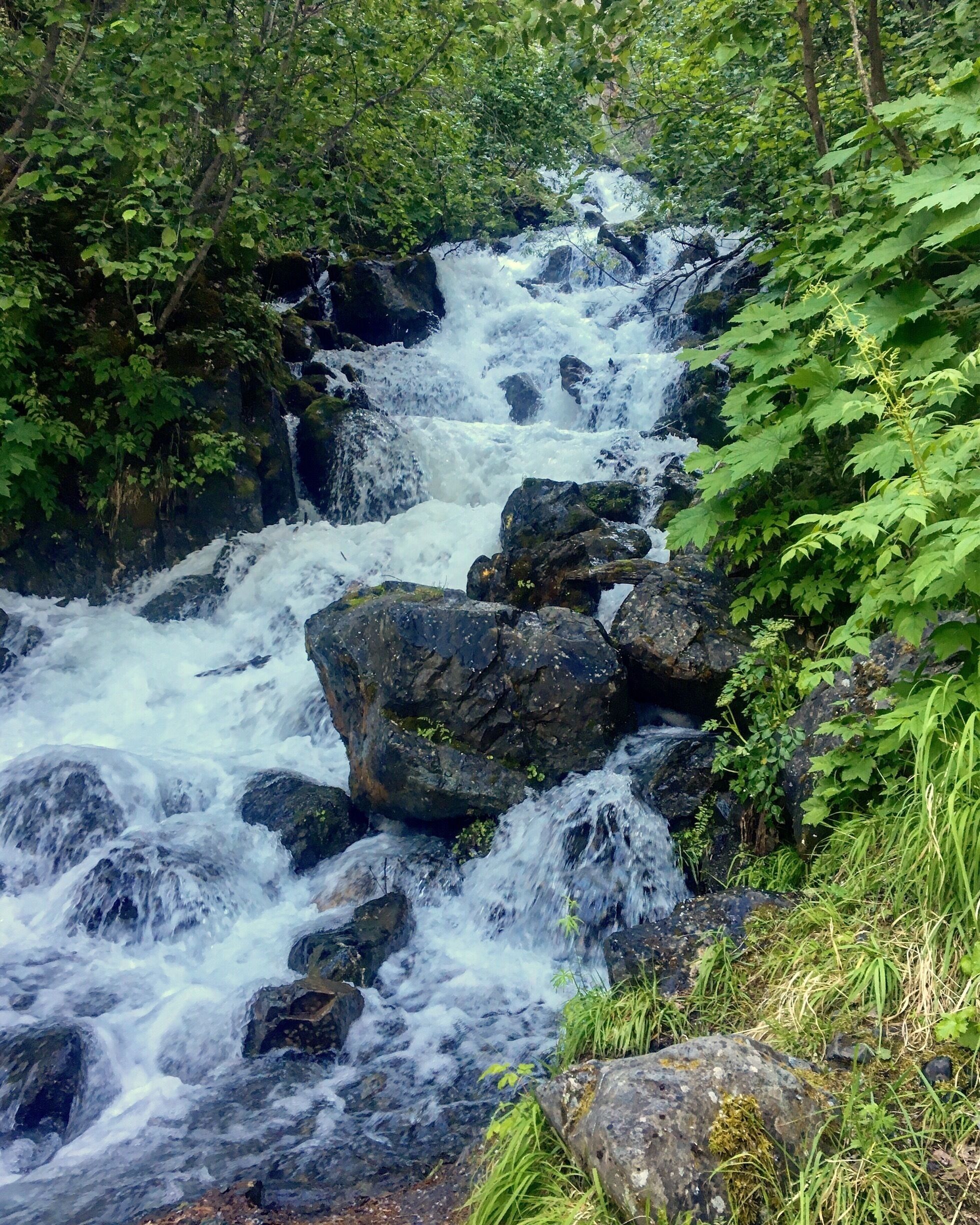 A waterfall cascading over rocks in a forested area.