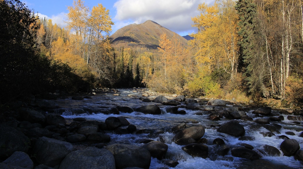 This photo was taken on the way to one of my most favorite places in the world, Independence Mine. There was not one time that we went to the Mine and didn't stop to admire the beauty of the Little Su.