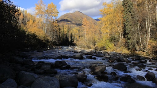 This photo was taken on the way to one of my most favorite places in the world, Independence Mine. There was not one time that we went to the Mine and didn't stop to admire the beauty of the Little Su.