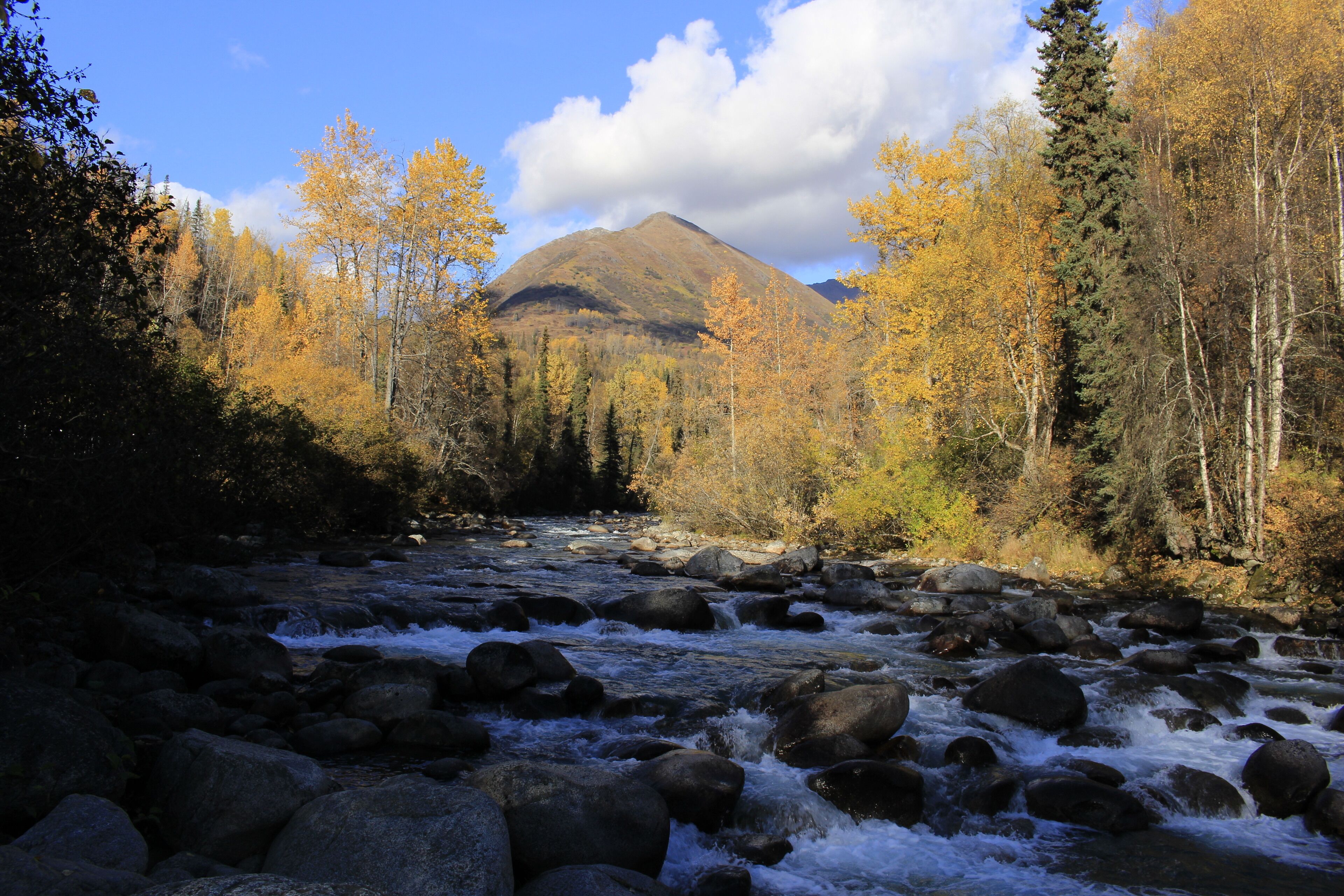 A river with rocks, surrounded by autumn-colored trees and a mountain in the background.