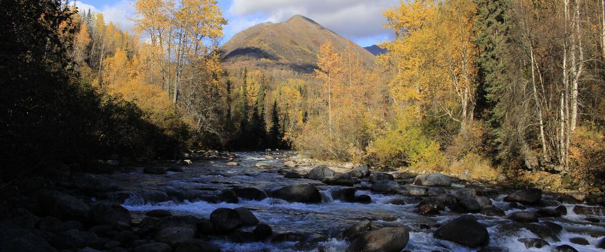 A river with rocks, surrounded by autumn-colored trees and a mountain in the background.