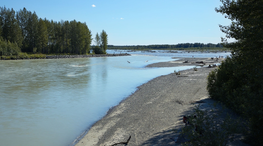 Wasilla