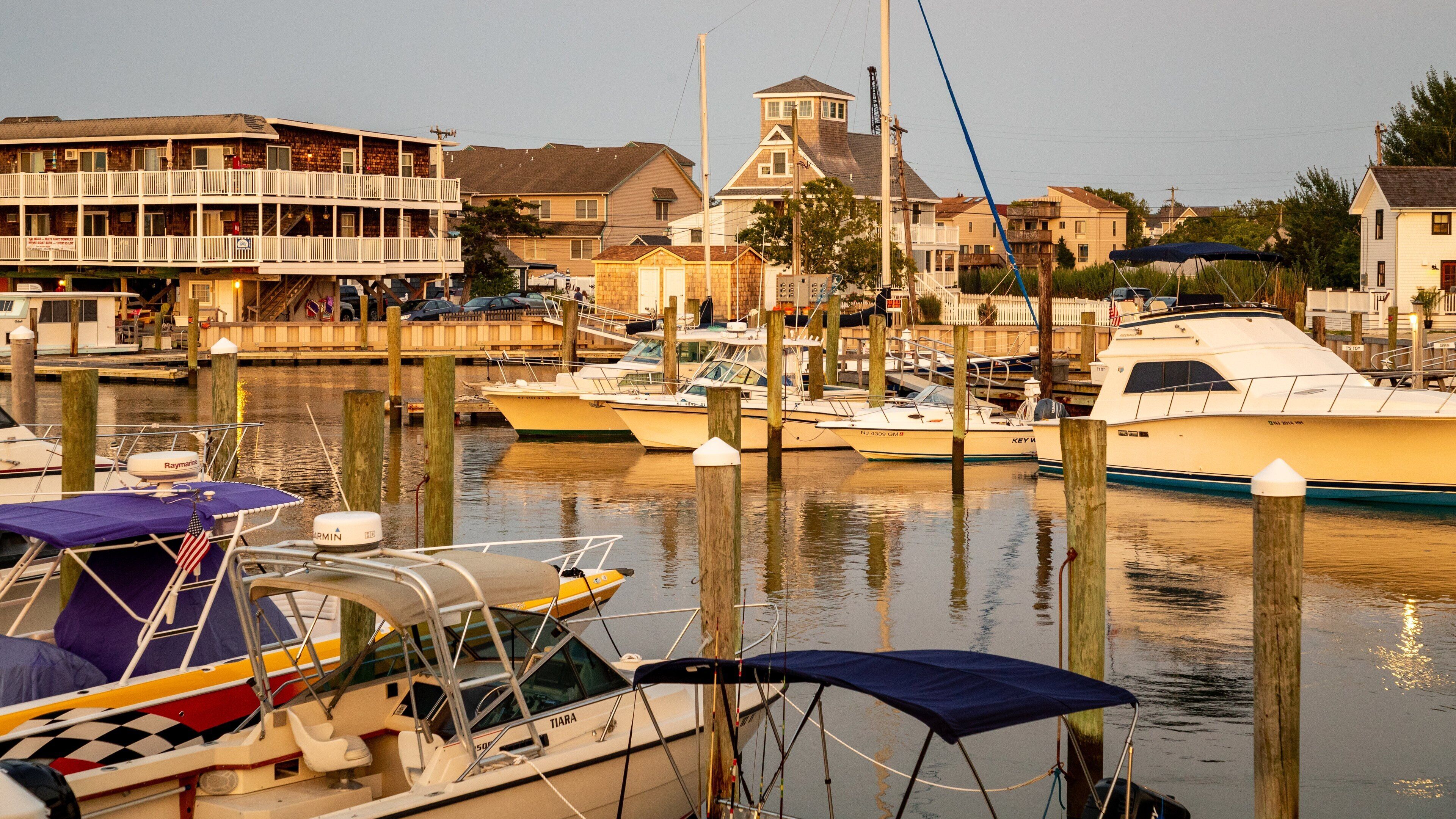 A marina with several boats docked, a wooden pier, and residential buildings in the background.