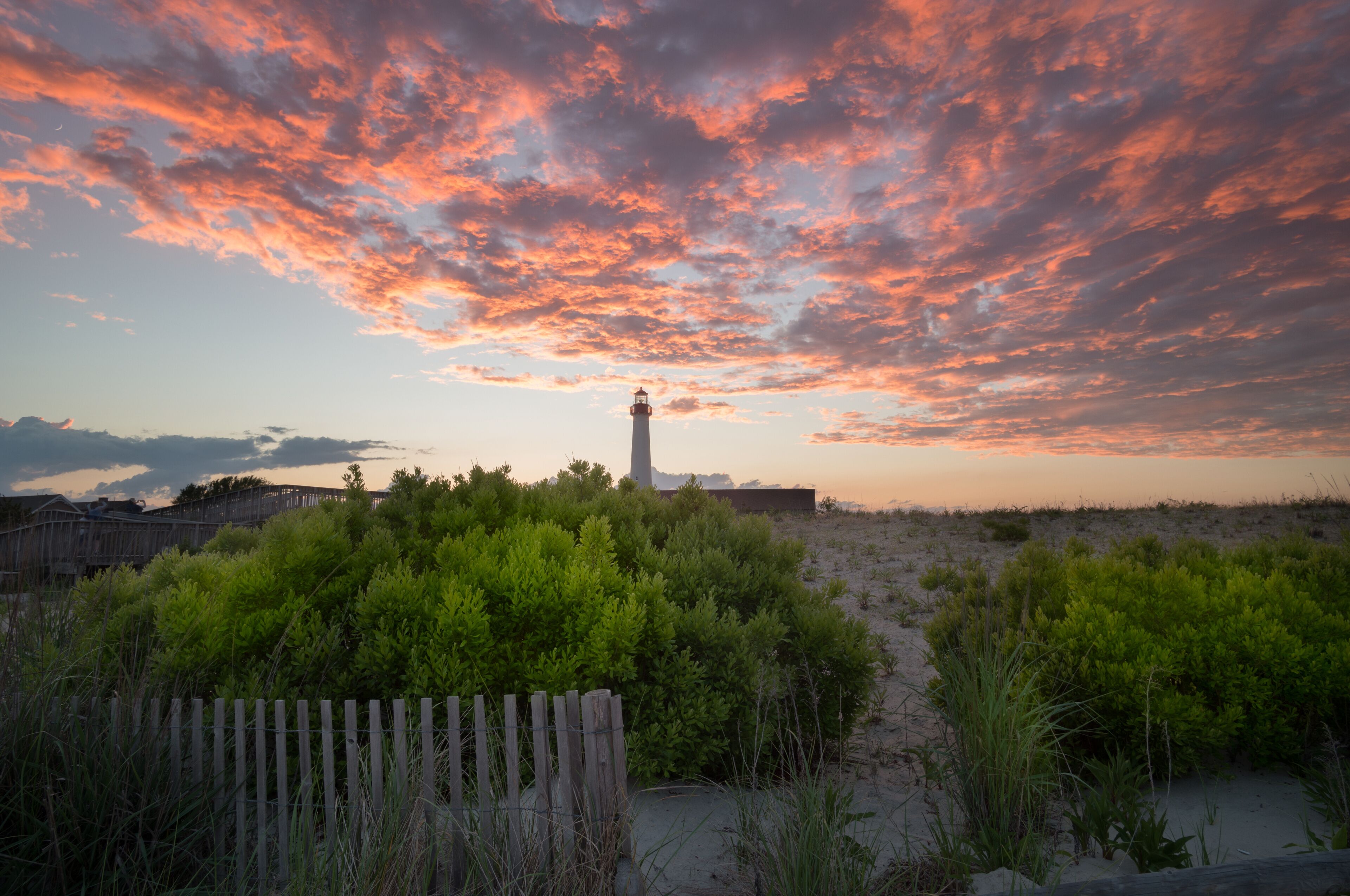 A lighthouse, sandy beach, and dense green shrubbery.