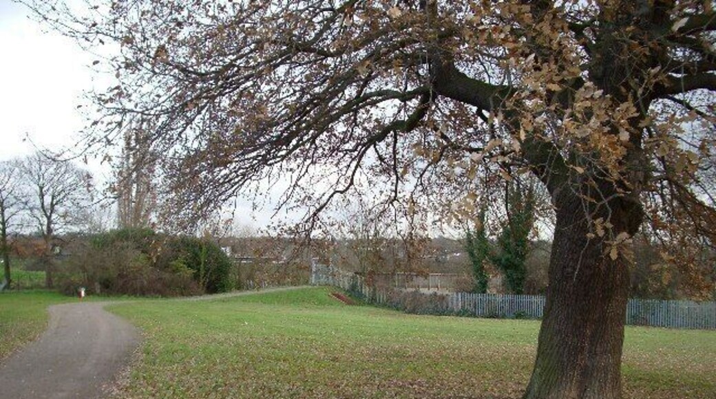 Ray Lodge Park, Woodford Bridge. Looking east over the River Roding and M11 motorway to the ridge where Chigwell lies. The footbridge over the river, from which the view in TQ4292 was taken, can be seen just to the left of the tree