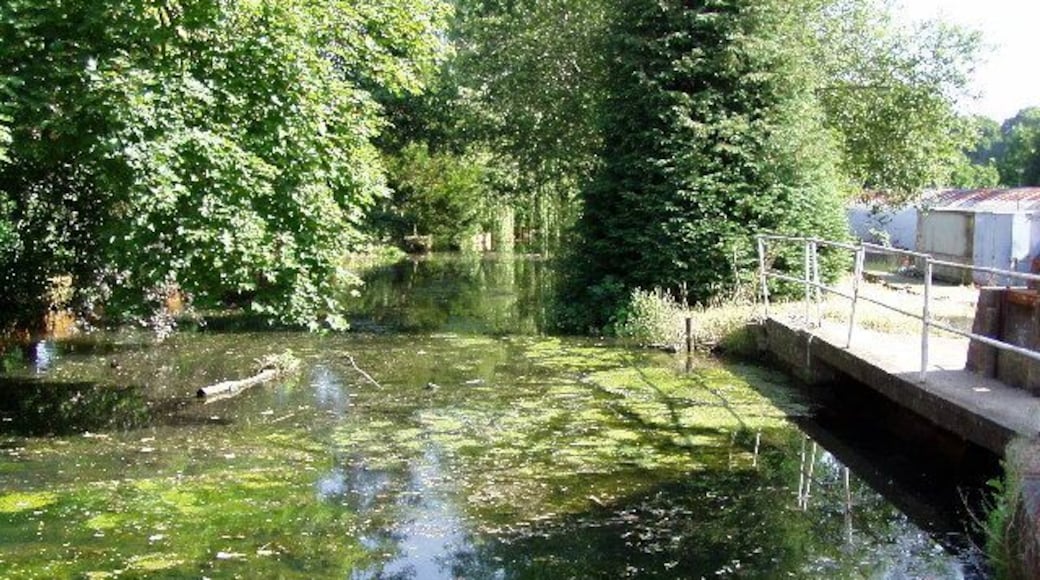 Botley Mill River Hamble.