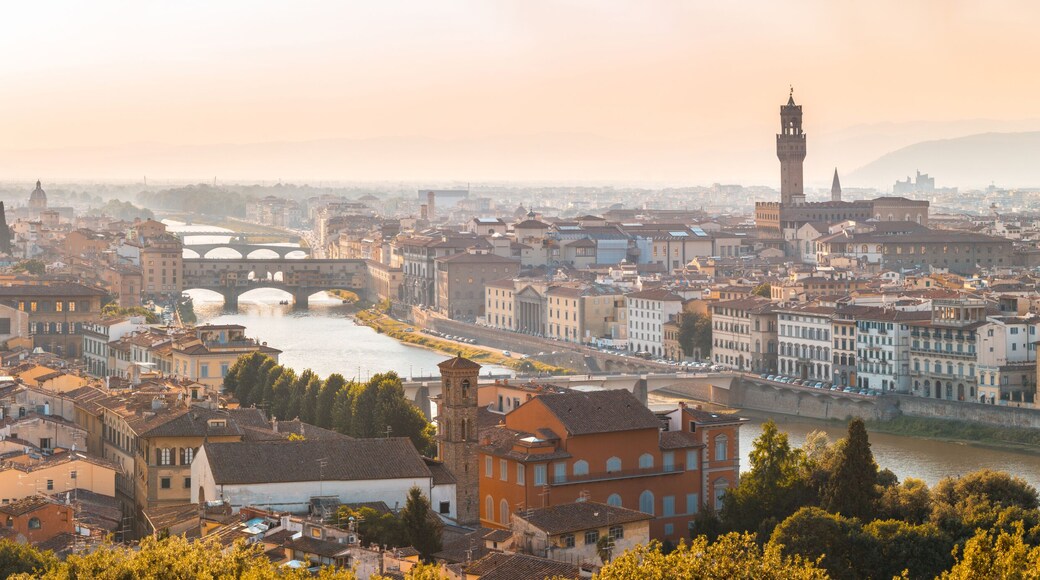 Florence panoramic aerial view at sunset