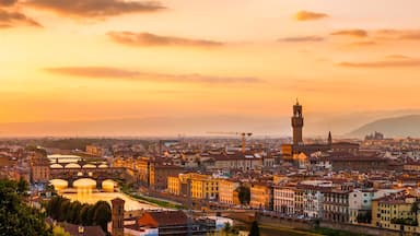 Panoramic view of the Florence city during golden sunset