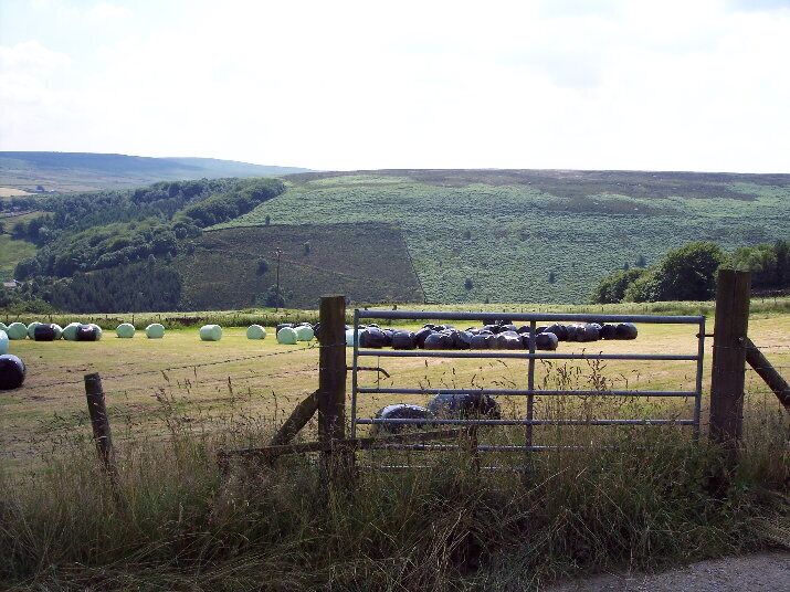Hay-making, Swan Bank Farm. Looking S from the footpath above Swan Bank Farm. Hove Yard Wood and Turley Holes Edge are features of the next square south (SD9922).