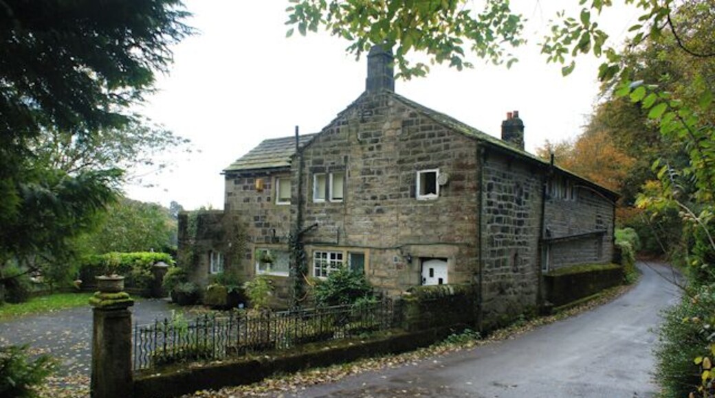 Hy Lee, Lee Wood, Hebden Bridge